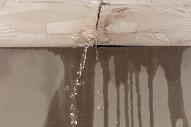 Professional Sewage Cleanup technician working in Oakton, VA